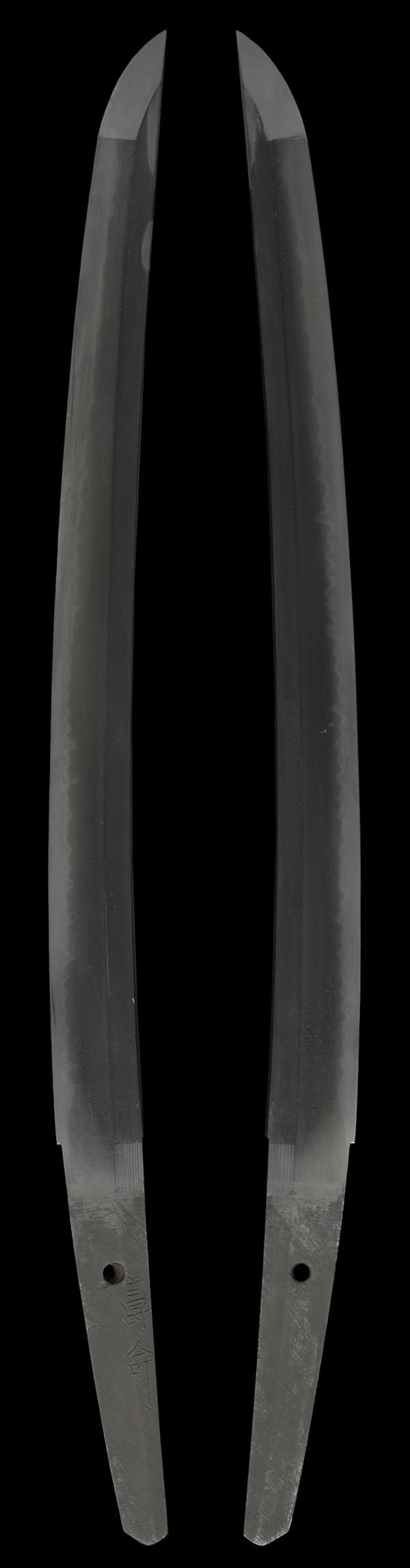 (03-1299) 新々刀 濃州寿命 一寸六分 合口拵入 - Photo 6