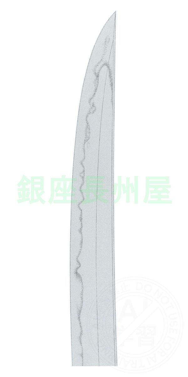 薙刀直し脇差 大磨上無銘 雲重(良業物) - Photo 21