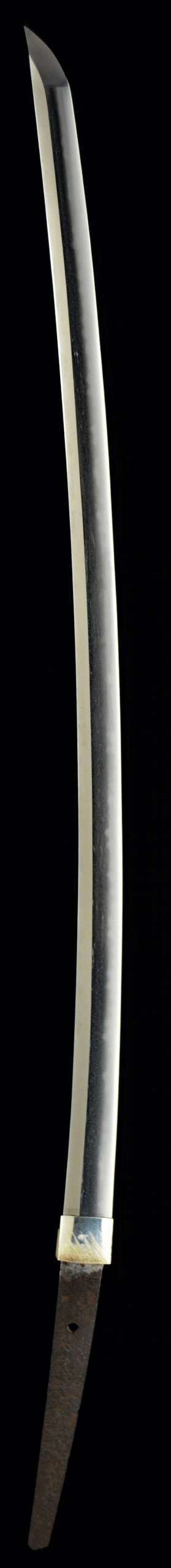 和泉守兼定11th - Photo 23