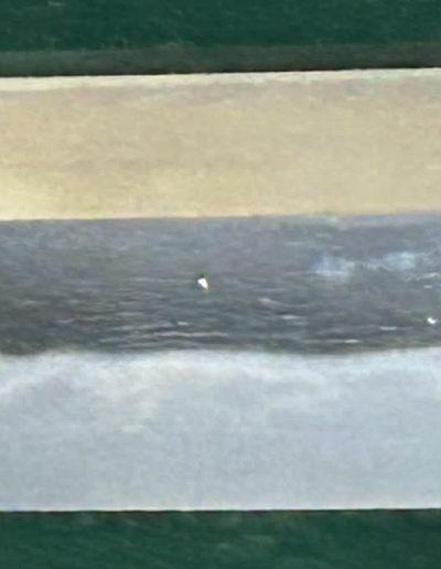 Chikuzen Koretsugu Katana with Nagahisa 2 Body Gold Test - Photo 26