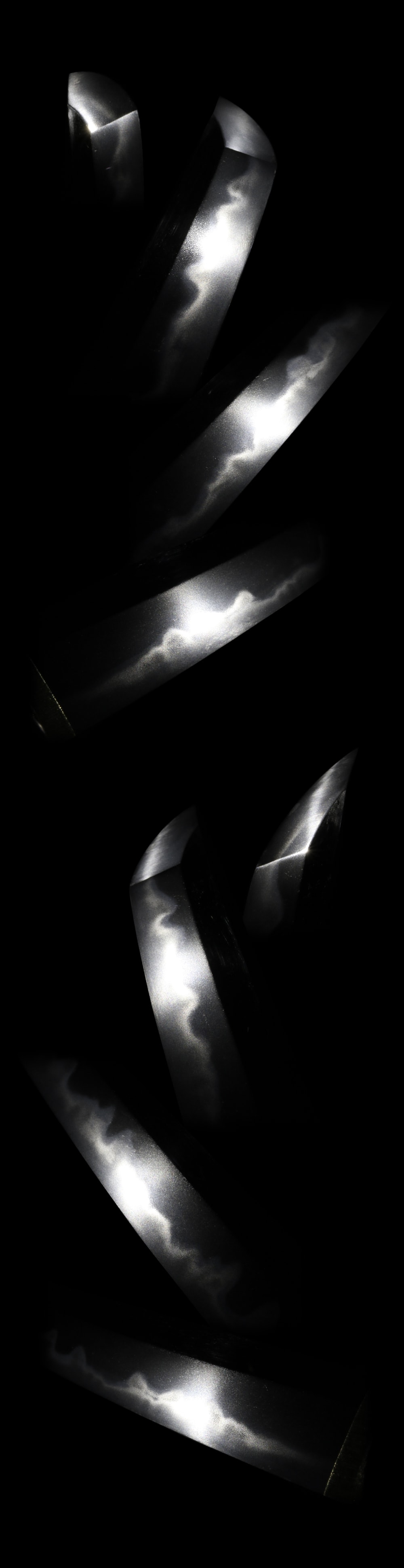 Wakizashi: Sakura Gonnoshin Terukane (NBTHK Tokubetsu Hozon Token) - Photo 3