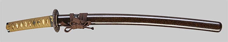 藤原氏房(若狭守) (美濃)(東山道) - Photo 13