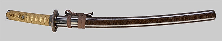 藤原氏房(若狭守) (美濃)(東山道) - Photo 14