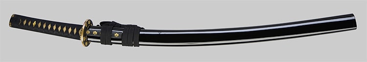 対馬入道常光 (武蔵)(東海道) - Photo 20