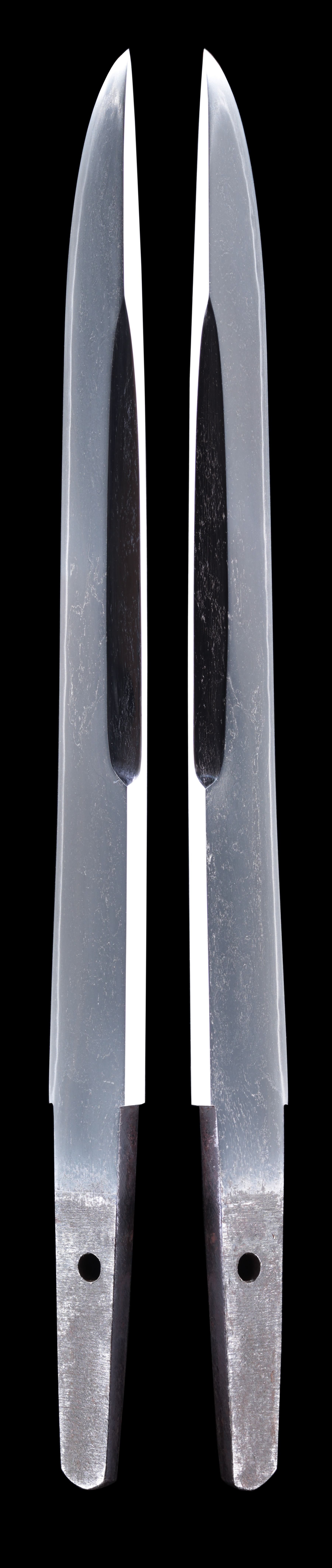 菊池槍 拵入り - Photo 4