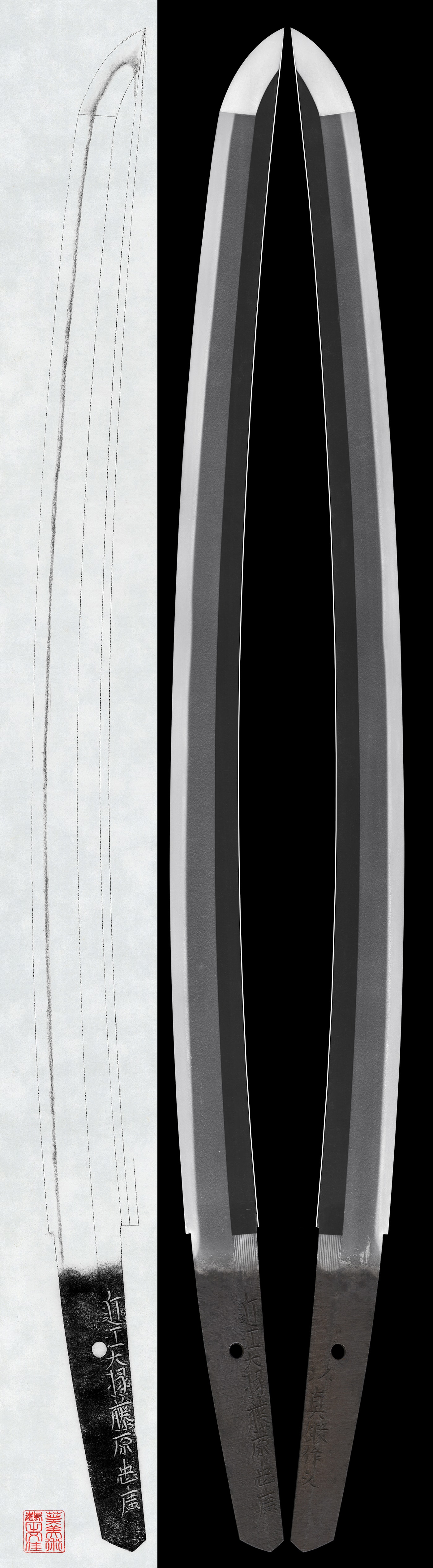 Wakizashi :Omi Daijo Fujiwara Tadahiro Motte Shintan Saku Kore (NBTHK Tokubetsu Hozon Token)