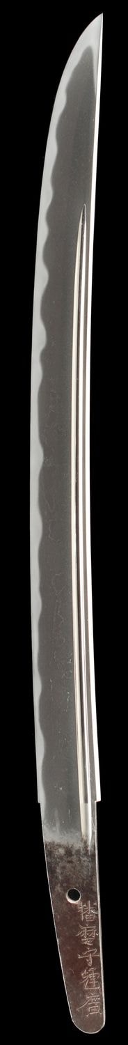 Wakizashi - Tokuho - by Aki Teruhiro School - Hira-zukuri wakizashi: Signed Harima no kami TERUHIRO (Wazamono)