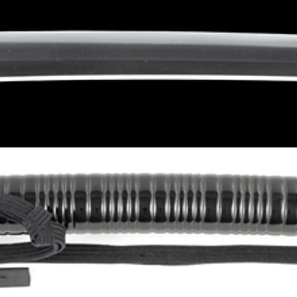 Wakizashi - by Hizen Tadayoshi - Mutsu Daijo Tadayoshi (Saijo O Wazamono)