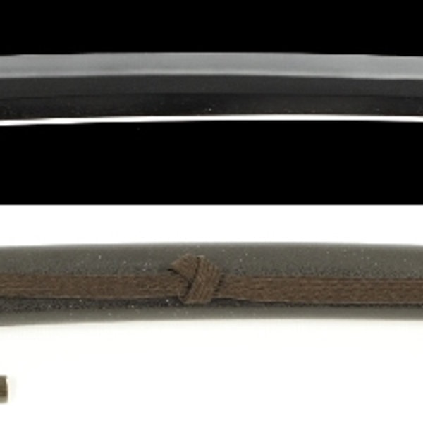 Wakizashi - by Sukehiro Sukenao - Tsuda Omi no Kami Sukenao - Dated Teikyo 2nd Year, 2nd Month (Ryowazamono)