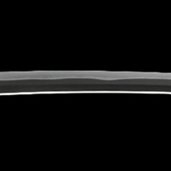 Wakizashi - by Sukehiro Sukenao - Omi no Kami Takagi ju Sukenao (Ryowazamono)