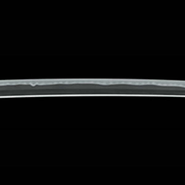 Katana - by Kiyomaro Kiyondo - Signed Fujiwara Kiyondo, Bunkyu 3rd Year, 8th Month