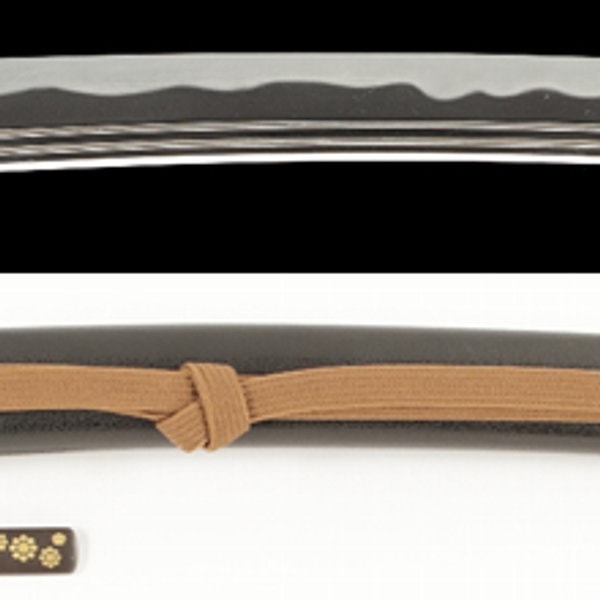 Wakizashi - by Hizen Tadahiro - Hizen Kuni Tadahiro (2nd Gen.) - O-wazamono