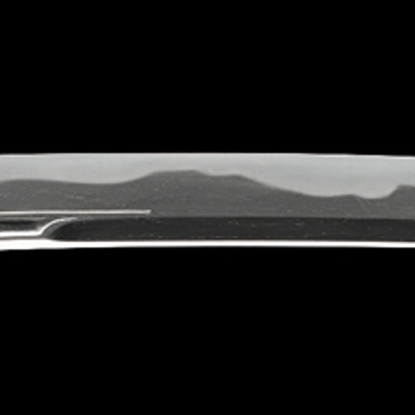 Wakizashi - by Mishina Yoshimichi - Tanba no Kami Yoshimichi - Keicho 5th Year, Lucky Day (Ryowazamono)