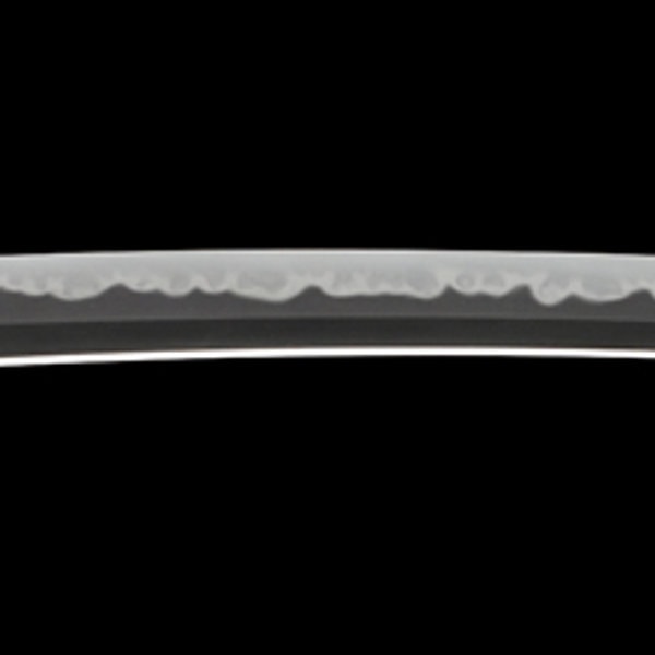 Wakizashi - by Hizen Tadayoshi - Mutsu no Kami Tadayoshi