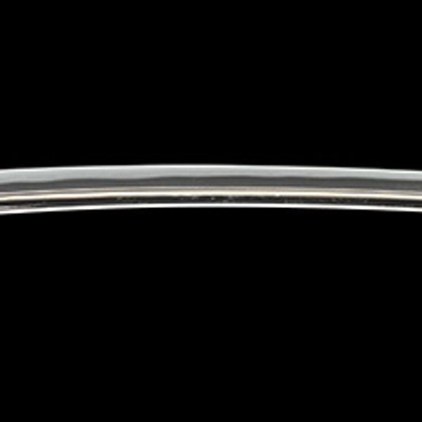 Katana - by Hojoji School - O-suriage Mumei Edo Hojoji