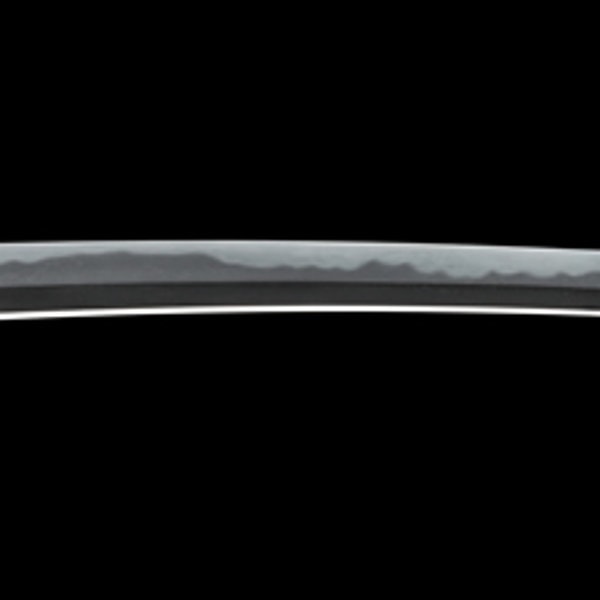 Wakizashi - by Horikawa Kunimichi - Dewa Daijo Fujiwara Kunimichi (Wazamono)
