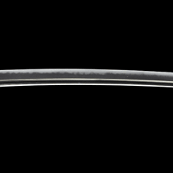 Katana - by Suishinshi Masahide Naotane - Inscription "The subtlety of strategy lies in a single mind", Komazawa Chikiki's sword, Tenpo 12th year (1841), Shoji Chikuzen Daijo Fujiwara Naotane (with kao)