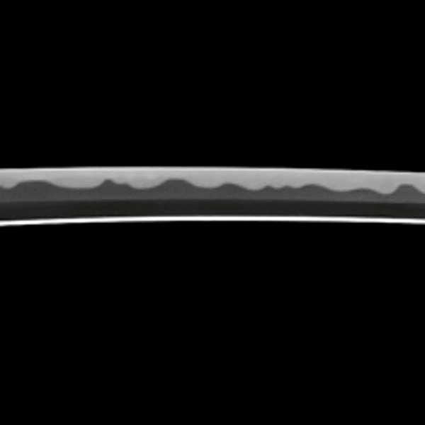 銘 一肥前国住藤馬丞行広以阿蘭陀鍛作