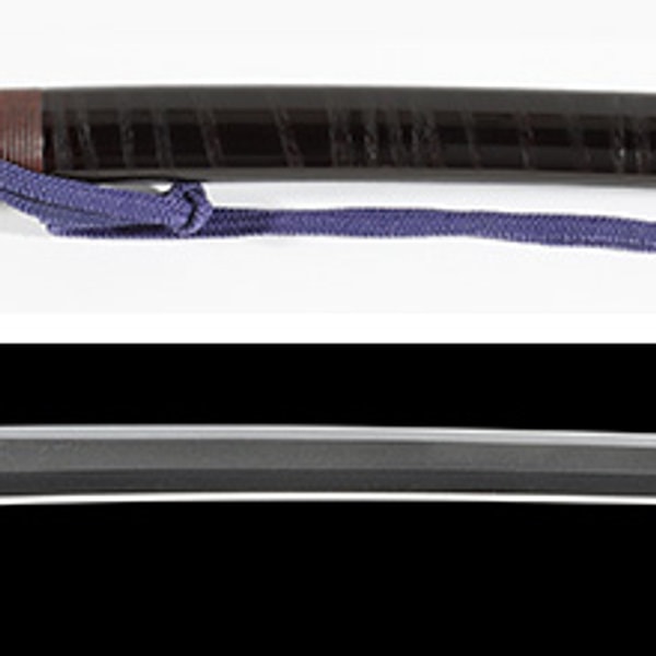 Katana - by Yukinaga - Katana with Toppei Uchigatana Koshirae and Tsuba by Suzushi: Signed Fujiwara Yukinaga, Bungo Takada