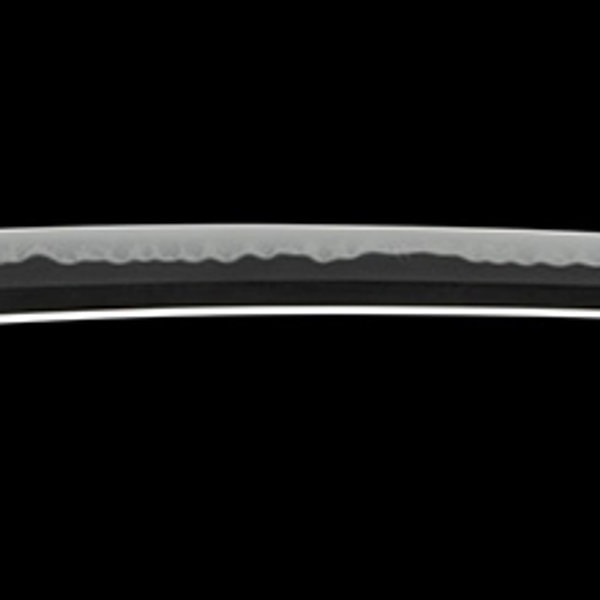 Wakizashi - by Koyama Munetsugu - Koyama Munetsugu - Tenpo 9th Year, 2nd Month