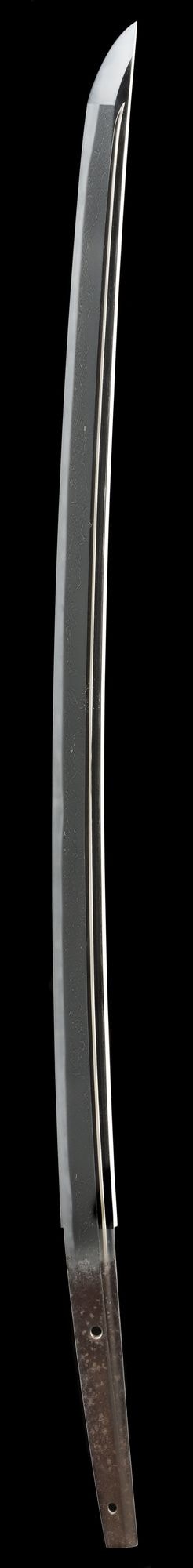 Katana - Tokuho - by Sa School - O-suriage Mumei O-Sa School