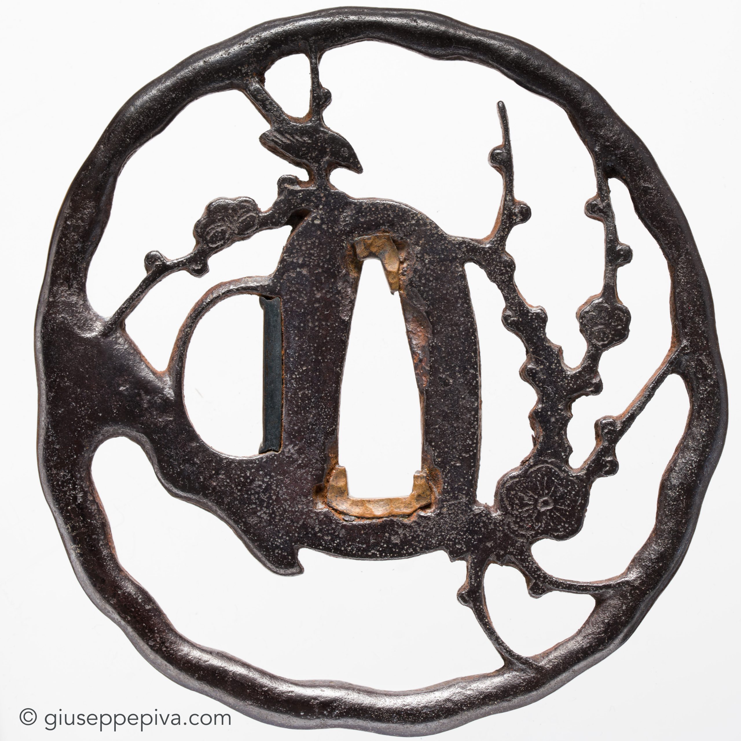 Tsuba - Tokuho - by Hayashi School - Haysai Tsuba, Attributed to Hayashi Shigemitsu, NBTHK Tokubetsu Hozon