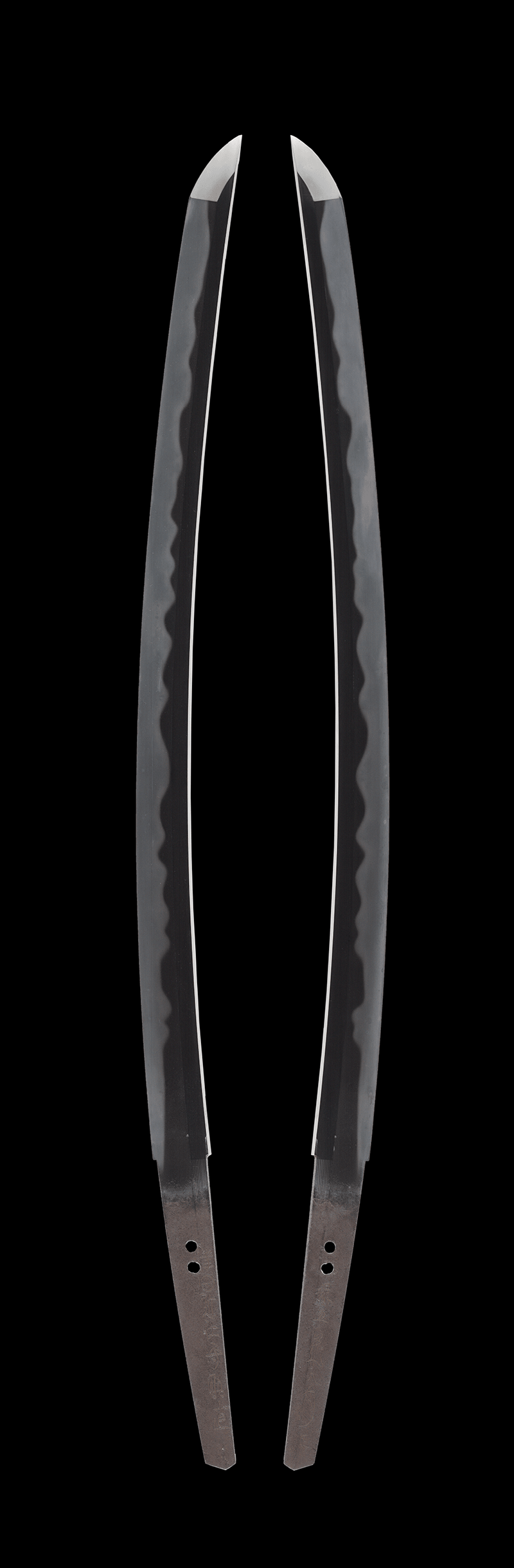 Wakizashi - Jūyō - by Sukehiro Sukenao - Tsuda Oumi no Kami Sukenao