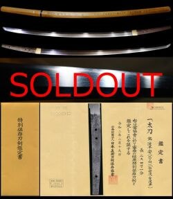 Tachi - Tokuho - Rare Ko-Naminohira mei "Naminohira Tsugi" Flowing Jigane Masterpiece, Tokubetsu Hozon Token Certificate