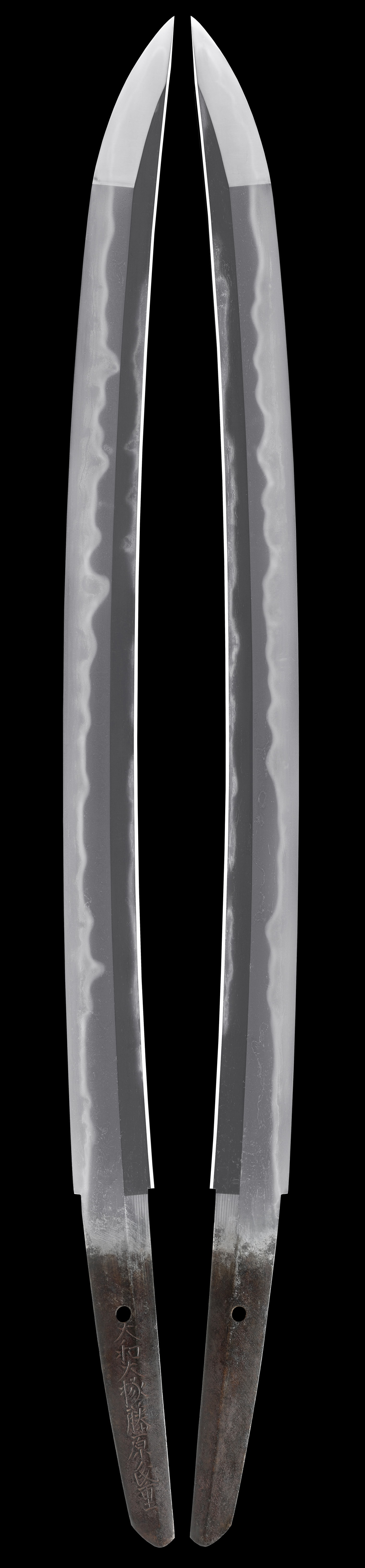 Wakizashi - Tokuho - by Kaifu Ujishige - Yamatodaijo Fujiwara Ujishige (1st Gen.)