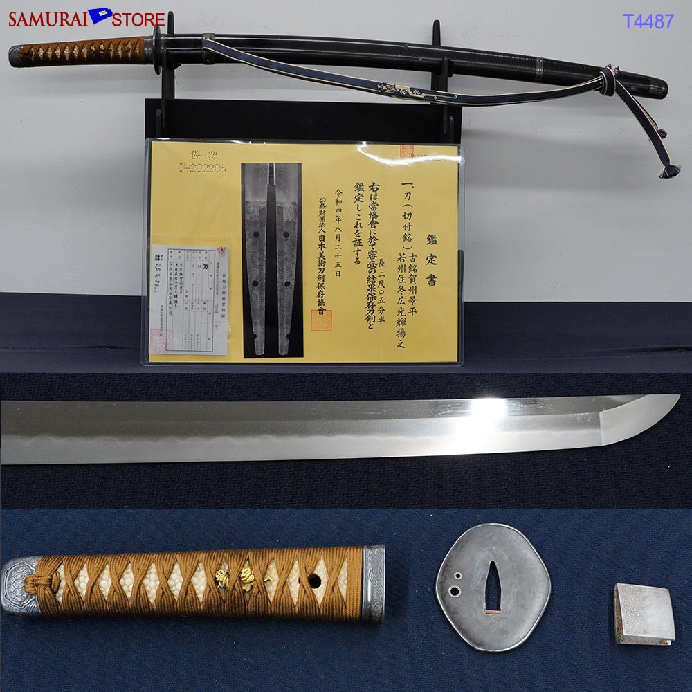 Katana T4487 Antique Katana sword in Ornate Mounting NBTHK Hozon certificated