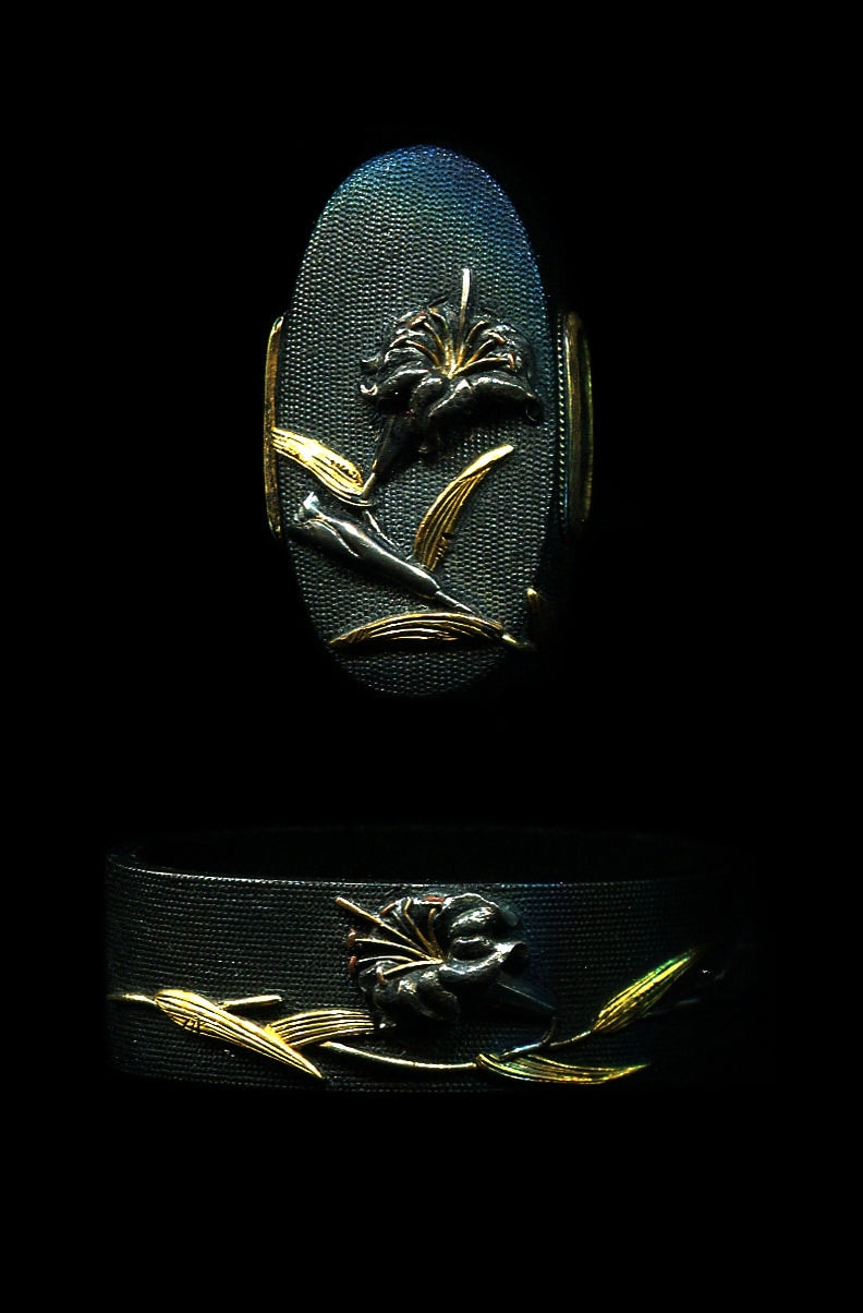 Sano Naoyoshi