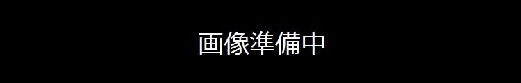 無銘(武蔵守兼中) (越前)