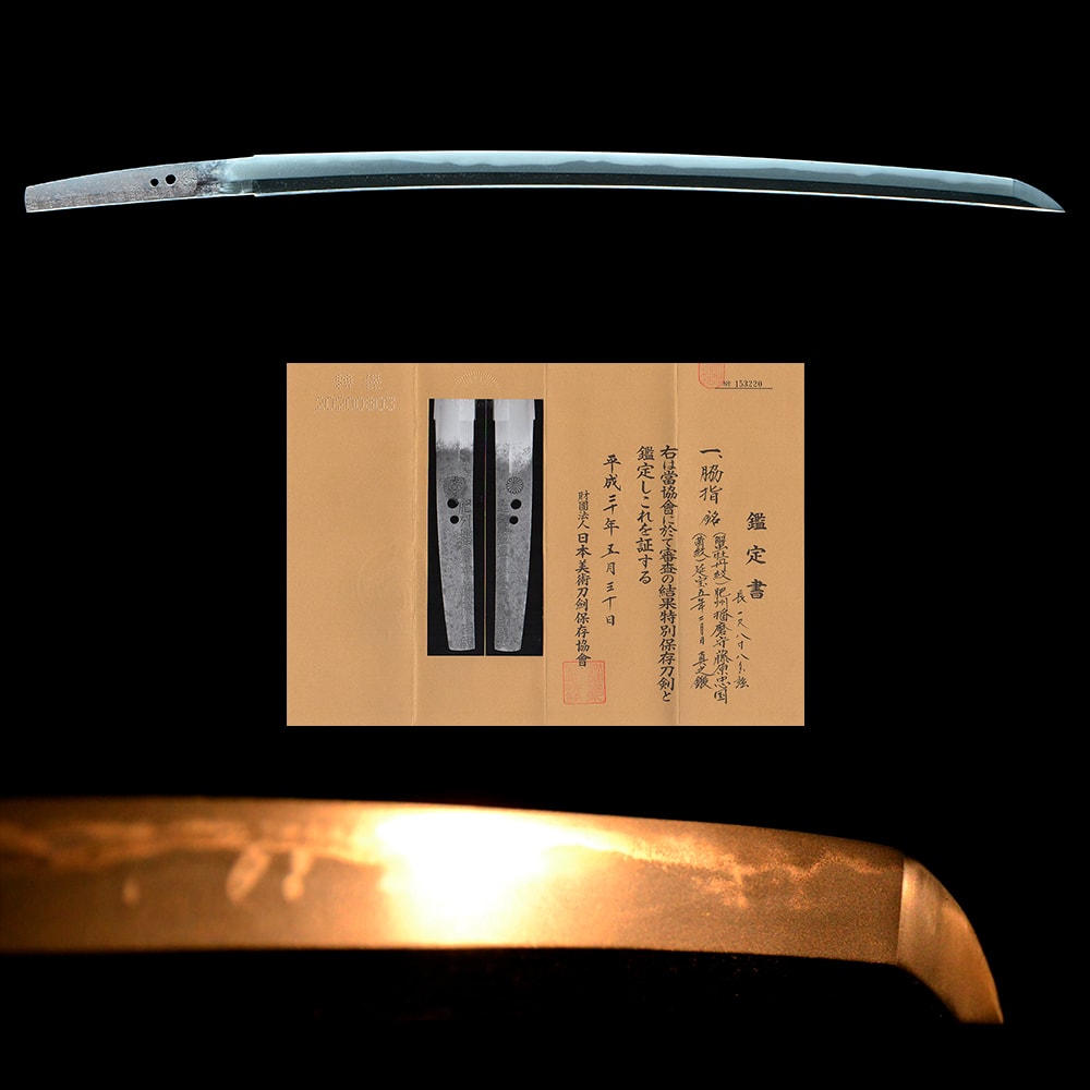 (菊紋)肥州播磨守藤原忠國 (蟹牡丹紋)延宝五年二月日真之鍛 - Hishu Harimanokmi Fujiwara Tadakuni - 3-392