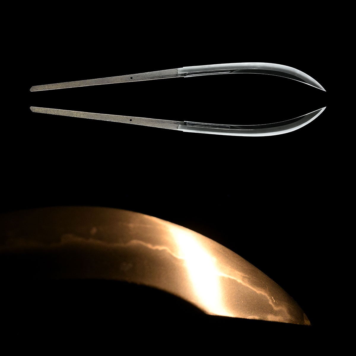 藤原貞行 -Fujiwara Sadayuki- 6-095