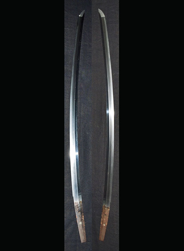 Katana - Hozon - by Dotanuki - Mumei (Doudanuki) - Hozon Token Certificate