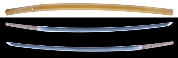 Katana - Hozon - by Motooki - Aizu Motooki - NBTHK Hozon Token